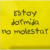 Estoy dormida no molestar