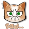 Face Cat 27