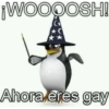 ¡WOOOOSH!
C
Ahora eres gay