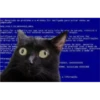 Animales2 27