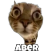 ABER
