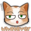 Face Cat 28