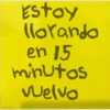 Estoy llorando en 15 minutos vuelvo