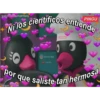 Grupo En Facebook: Purple Posting
Ni los cientificos entiende
Deiran.666
Instagram: Deiran 666
Deiran
PINGU
DEIRAN
Instagram: Deiran 666
por que saliste tan hermosa