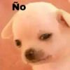 🐕PERRITO TOXICO2🐕 30