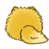 Perrito Pomerania 27
