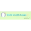 C
Mamá se unió al grupo
09:00✓