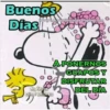 Buenos on
Diasi
Ingresa as monitaslindas.blogspot.com
A PONERNOS
GUAPOS Y
DISFRUTAR
DEL DÍA
Muñecas
con Nombres
F