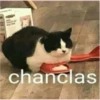 chanclas