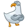 Pidgeons 19