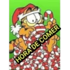 GARFIL NAVIDEÑO 6