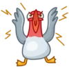 Pidgeons 18