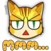 Face Cat 6