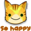 Face Cat 7