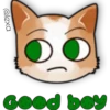 Face Cat 8