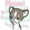 Kawaii Chihuahua I (Classic) 5