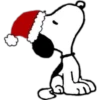 Natal eu 5