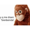 mucha risa pt 3 7