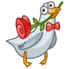 Pidgeons 6
