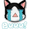 Face Cat 10