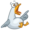 Pidgeons 13