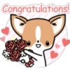 Kawaii Chihuahua I (Classic) 11