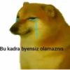 wow 8