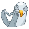 Pidgeons 7