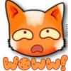 Face Cat 13