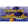 TENEMOS A UN GUERRERO Z CAIDO