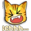 Face Cat 14