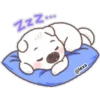 Puppy life 7