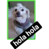 hola hola
