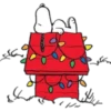 Natal eu 16