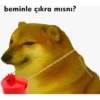 wow 9