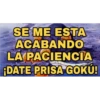 SE ME ESTA ACABANDO LA PACIENCIA ¡DATE PRISA GOKÚ!