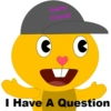 Mango The Bear 16