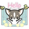 Kawaii Chihuahua I (Classic) 15