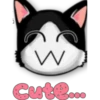 Face Cat 16