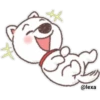 Puppy life 8