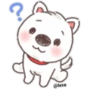 Puppy life 9