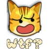 Face Cat 17