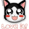 Face Cat 18