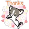 Kawaii Chihuahua I (Classic) 19