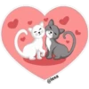 "Amor y Amistad" 14