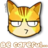Face Cat 19