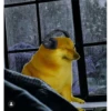 wow 11