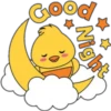Buenas Noches 14