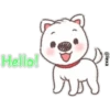 Puppy life 11