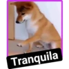 Tranquila